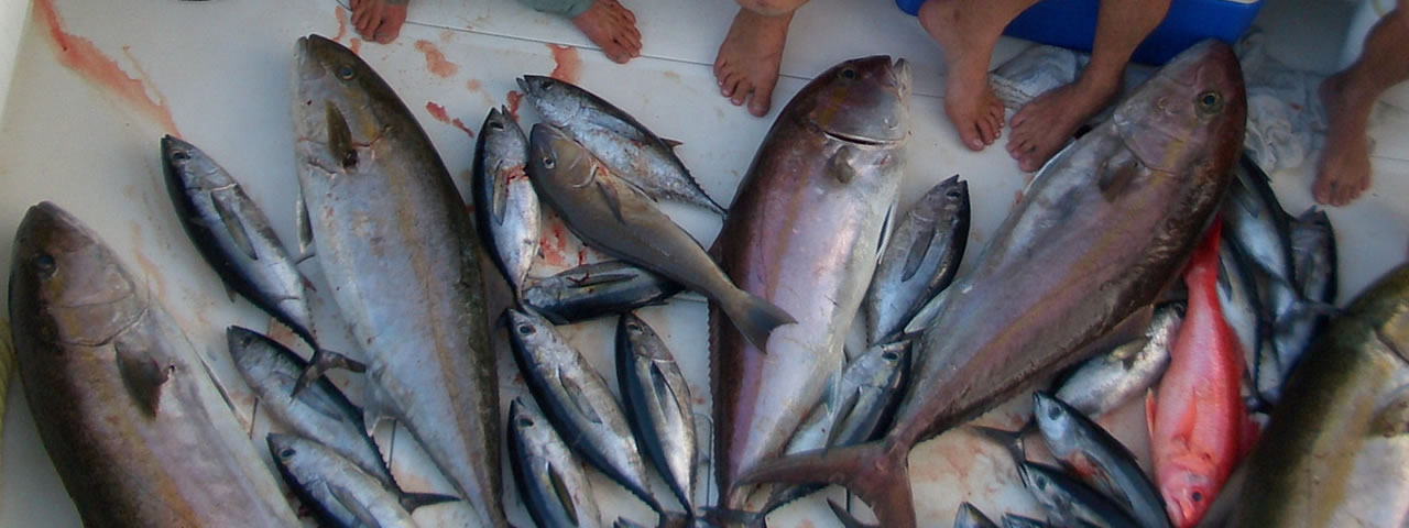 Marathon FL fishing charters