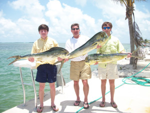 dolphin fishing charter offshore