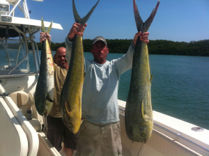 dolphin fishing charters Florida Keys