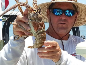 spiny lobster caught on the reef