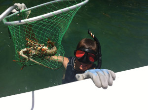 Florida Keys snorkeling for lobster